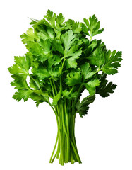 Parsley, a vibrant, fresh herb, is isolated and separated on a pure white background, showcasing its delicate green leaves, adding a touch of natural beauty, ready for use in any culinary creation.

