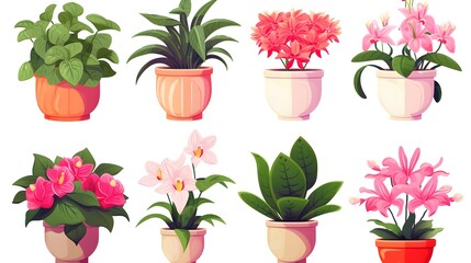Beautiful Camellia Flowers in Flowerpots for Indoor Houseplant Decoration