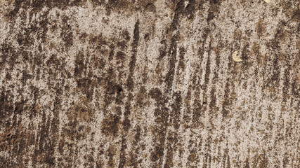 Aged grunge mossy concrete floor, stone textured background
