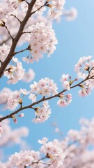 Obraz premium A close up of a tree branch with white flowers