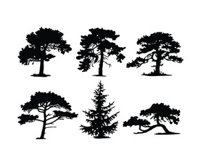 Fototapeta premium Juniper Tree Silhouette Vector Illustration on White Background