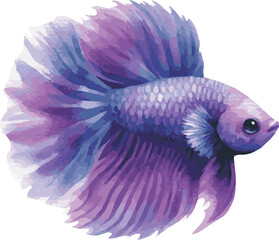 Fototapeta premium Cute vector watercolor illustration of a betta fish