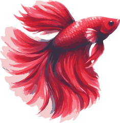Cute vector watercolor illustration of a betta fish