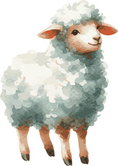 A watercolor vector illustration of a sheep