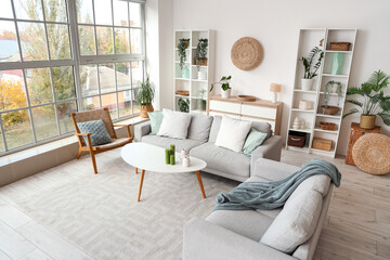 Interior of light living room with sofas, armchair and green plants
