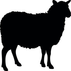 lamb silhouette Vector. 