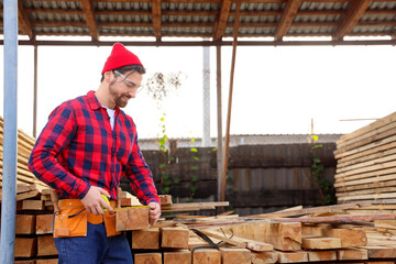 Male carpenter measuring wooden plank at sawmill