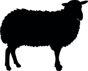  sheep collection of silhouettes.