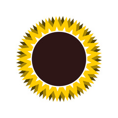 Sunflower on white background. Vector illustration.