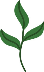 leaves illustration on a white background     