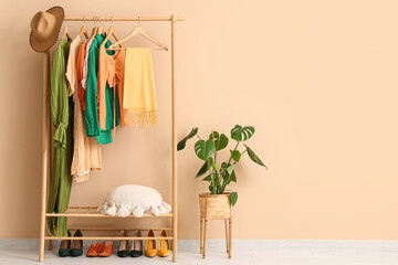 Rack with clothes, shoes and houseplant in dressing room