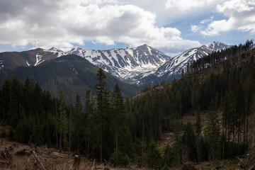 mountain landscape with forest in the Tatra Mountains, Poland