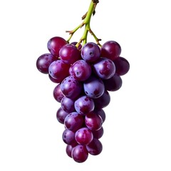 Fototapeta premium Fresh Purple Grapes Bunch on White Background