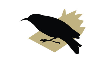 African spotted creeper bird Silhouette Design  And Vector Illustration. 