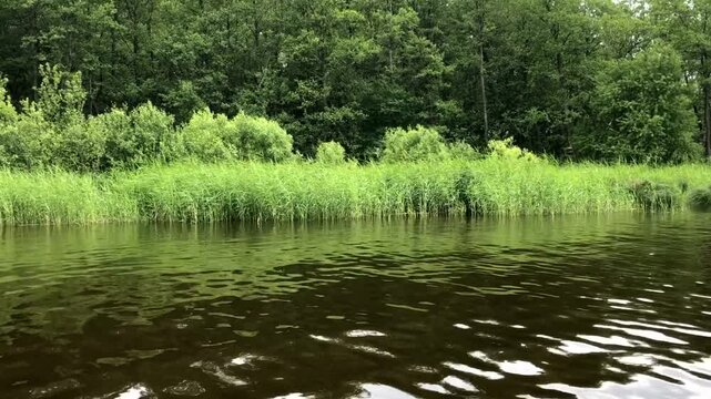green river bank, summer landscape