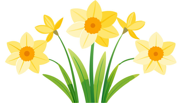 Illustration of daffodils flowers spring floral design yellow flowers botanical garden blossom bloom nature art