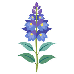 Illustration of a delphinium flower, botanical art, floral design, purple and blue flower vector art