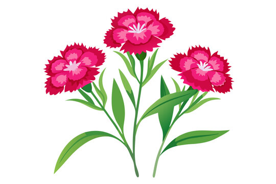 pink carnations on green stems clip art preview