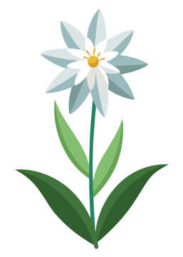 white flower with green leaves clip art preview