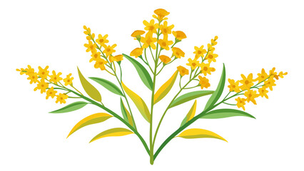 Watercolor goldenrod flower illustration, floral design element, yellow flowers and green leaves art