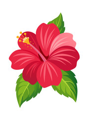 Red hibiscus flower illustration tropical floral design hawaiian bloom botanical art exotic plant vector © IsratJahan