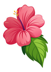 Illustration of a pink hibiscus flower with leaf tropical floral design element nature drawing art
