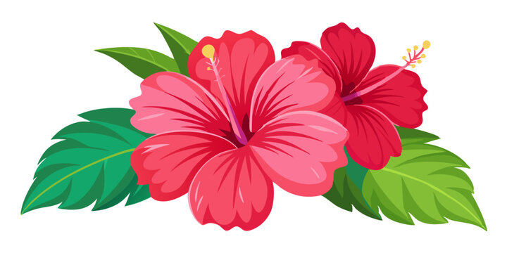 Fototapeta Red hibiscus flower floral bloom blossom tropical hawaiian petals botanical vector art design