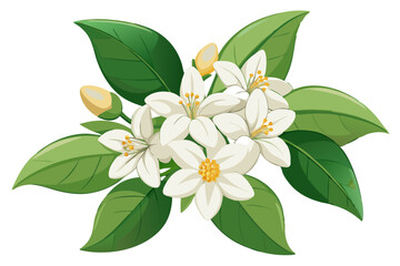 Beautiful white flowers blossoms floral leaves nature botanical garden spring summer bloom plant