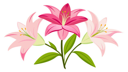 Beautiful pink lily flower illustration floral design botanical art nature garden blossom petal bloom drawing
