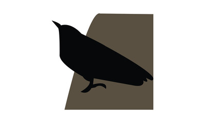 African spotted creeper bird Silhouette Design  And Vector Illustration. 