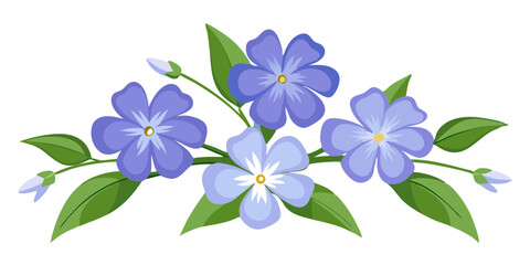Beautiful periwinkle flowers floral arrangement with green leaves blossom spring nature design