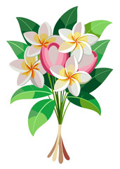 Beautiful frangipani flower bouquet vector illustration floral design tropical plumeria flowers blossom art