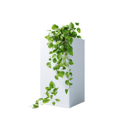 Lush Green Pothos Plant Draped Over Modern White Planter