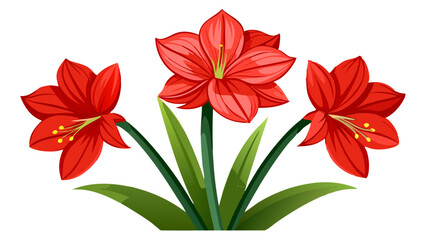 Illustration of red amaryllis flowers with green leaves blooming botanical floral design art drawing
