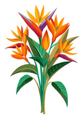 Illustration of bird of paradise flower tropical plant exotic floral arrangement design element vector art