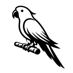 Obraz premium parrot on a branch, parrot on a white background, vector illustration of a parrot, bird, vector, black and white