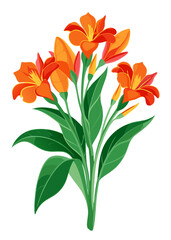 Vibrant canna lily flower illustration showcasing floral beauty botanical design and nature art style