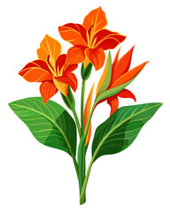 Beautiful orange flowers floral design vector illustration tropical flower petal bloom canna lily art