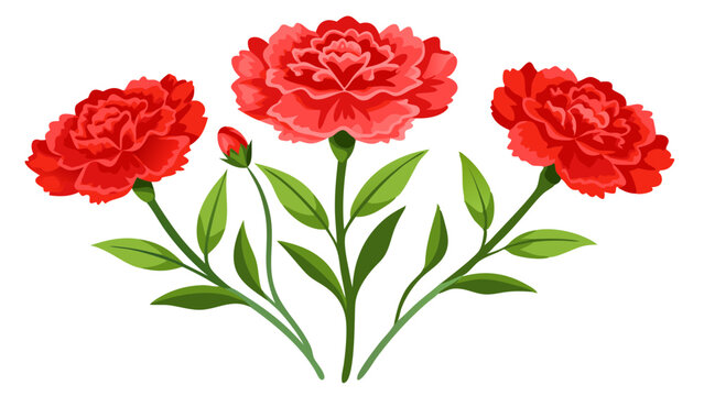 red carnations with green leaves on white clip art preview