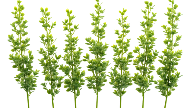 Green Stems with Lush Foliage Ideal for Spring and Summer Designs