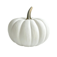 Elegant pumpkin in the autumn atmosphere: An immaculate, white pumpkin with a graceful stem that brings a taste of autumn. Captures a sense of rustic simplicity and the beauty of the harvest season.