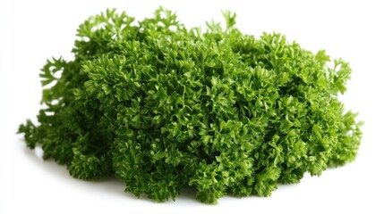 Obraz premium Fresh Parsley Bunch