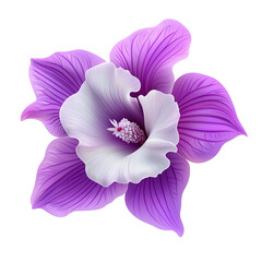 Naklejka premium Purple Orchid Bloom:Close-up of a vibrant purple orchid with white center, showcasing intricate details of its petals and delicate textures.