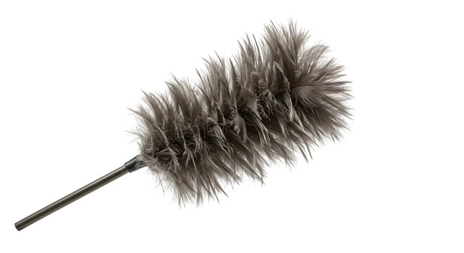 feather duster isolated on white