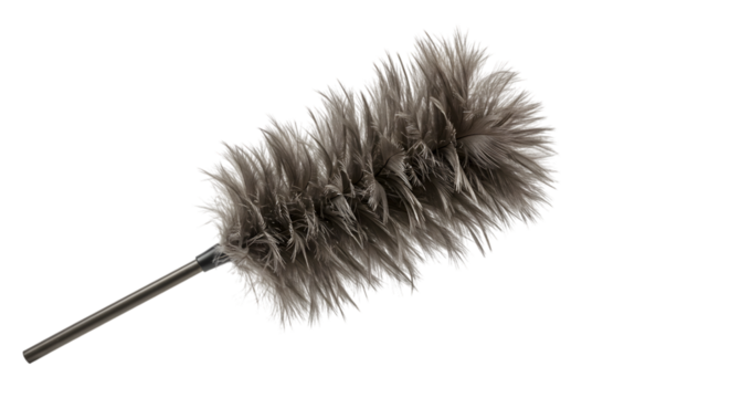 feather duster isolated on white