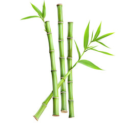 Fototapeta premium Fresh Bamboo Shoots: A cluster of vibrant green bamboo shoots, bursting with life, stand tall against a pristine white backdrop. Capturing the essence of nature's resilience and growth.