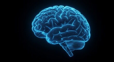 Digital human brain hologram concept, medical science technology research