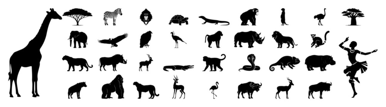 african wildlife animal silhouettes collection