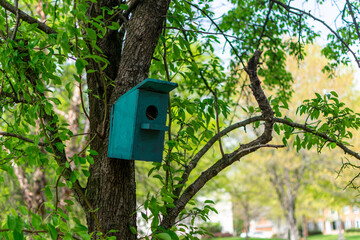 Birdhouse on a tree in the woods