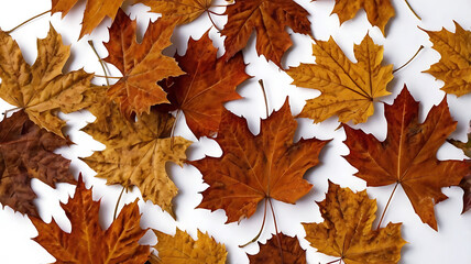 Autumn Maple Leaves Background – Fall Foliage Texture in Orange and Brown Tones